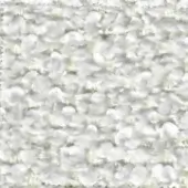 White flower texture, dense arrangement of small multi-petaled blossoms, soft focus, muted tones, seamless repetitive pattern, diffused lighting.